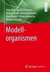 Modellorganismen