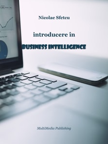 Introducere in Business Intelligence