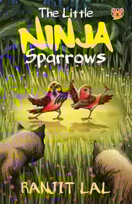 Little Ninja Sparrows