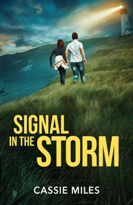 Signal In The Storm