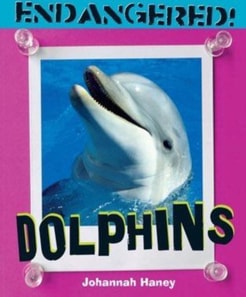 Dolphins
