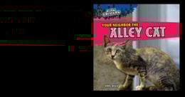Your Neighbor the Alley Cat