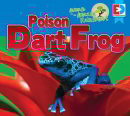 Animals of the Amazon Rainforest: Poison Dart Frog