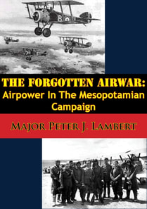 Forgotten Airwar: Airpower In The Mesopotamian Campaign