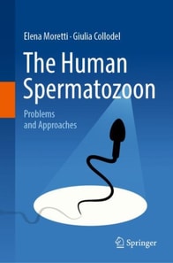 Human Spermatozoon