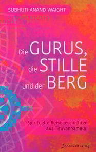 Die Gurus, die Stille  und der Berg