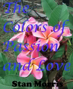 Colors of Passion and Love
