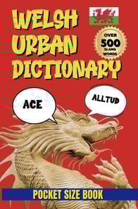 Welsh Urban Dictionary