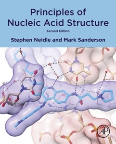 Principles of Nucleic Acid Structure