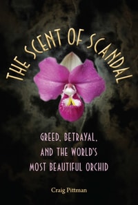 Scent of Scandal