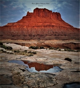 Ode to Johann Sebastian Bach