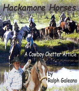 Hackamore Horses   A Cowboy Chatter Article