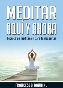 Meditar aquí y ahora. Técnica de Meditación Para tu Despertar.