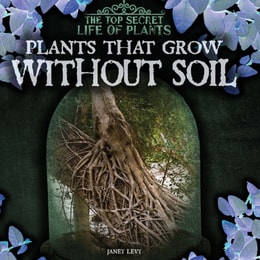 Plants That Grow Without Soil