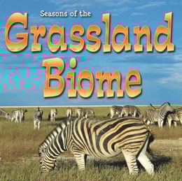 Seasons Of The Grassland Biome