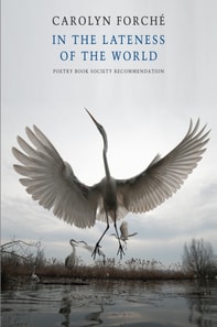 In the Lateness of the World