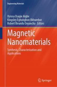 Magnetic Nanomaterials