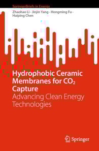 Hydrophobic Ceramic Membranes for CO2 Capture