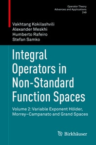 Integral Operators in Non-Standard Function Spaces