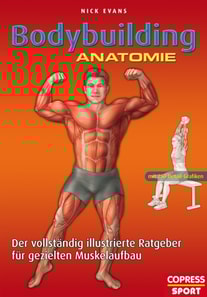 Bodybuilding Anatomie