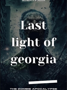 Last Light Of Georgia