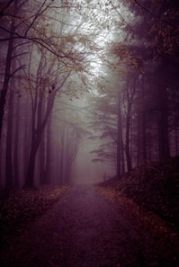 Under The Catalpa Tree