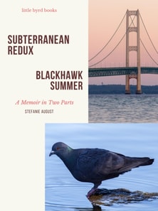 Subterranean Redux & Blackhawk Summer - A Memoir in Two Parts