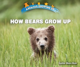 How Bears Grow Up