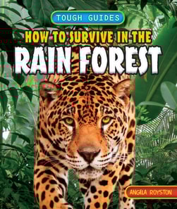 How to Survive in the Rainforest