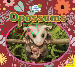 Opossums