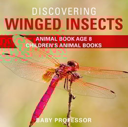 Discovering Winged Insects - Animal Book Age 8 | Children's Animal Books