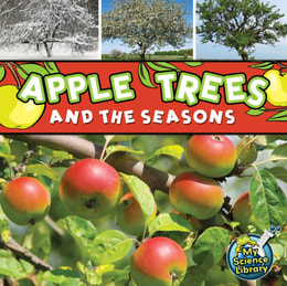 Apple Trees and The Seasons