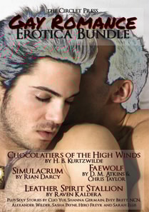 Circlet Press Gay Romance Bundle