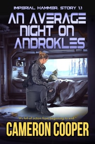 Average Night on Androkles