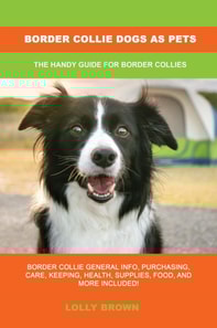 Border Collie Dogs as Pets