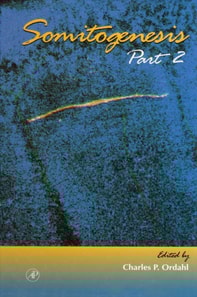 Somitogenesis, Part 2