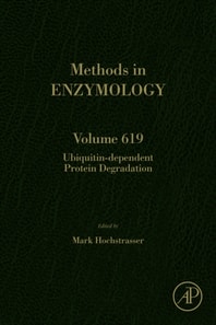 Ubiquitin-dependent Protein Degradation