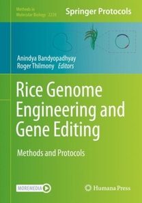 Rice Genome Engineering and Gene Editing