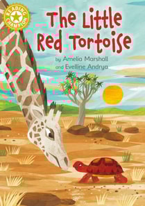 Little Red Tortoise