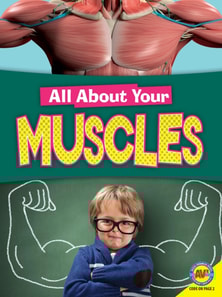 Muscles