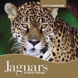 Jaguars