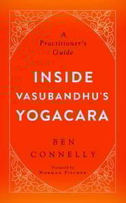 Inside Vasubandhu's Yogacara