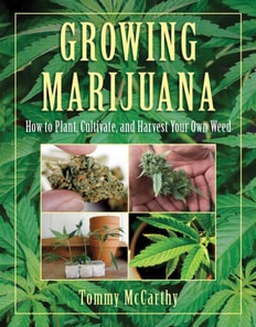 Growing Marijuana