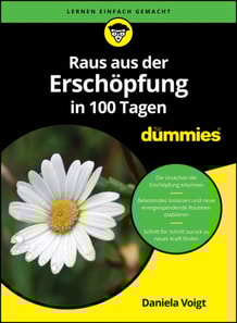 Raus aus der Ersch pfung in 100 Tagen f r Dummies