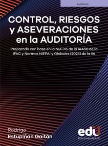 Control, riesgos y aseveraciones en la auditoría