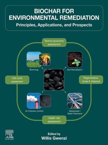 Biochar for Environmental Remediation