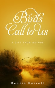 Birds Call to Us