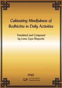 Cultivating Mindfulness of Bodhicitta in Daily Activities eBook