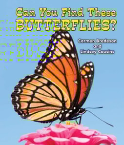 Can You Find These Butterflies?