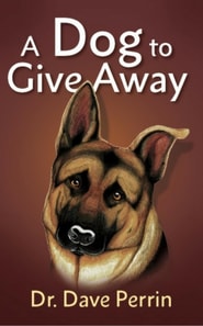 Dog to Give Away
